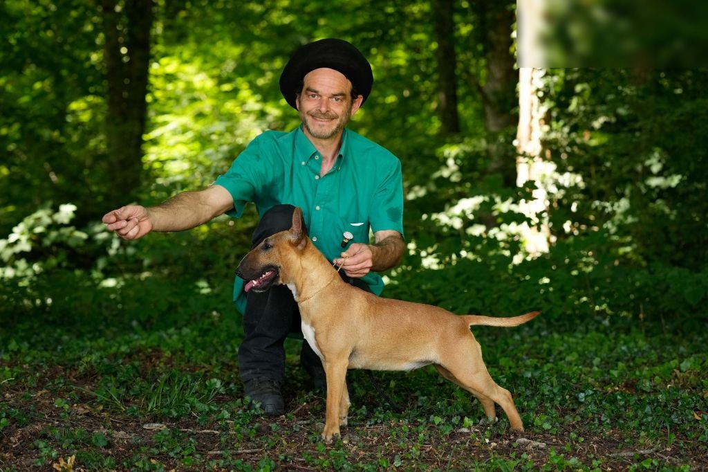 Ludovic Lubert, éleveur de Bull Terrier à Kingston-Corbières