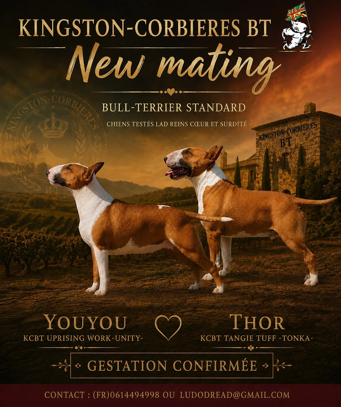 Affiche du mariage de KCBT Tangie Tuff -Tonka- dit Thor et KCBT Uprising Work -Unity-, Bull Terrier standard