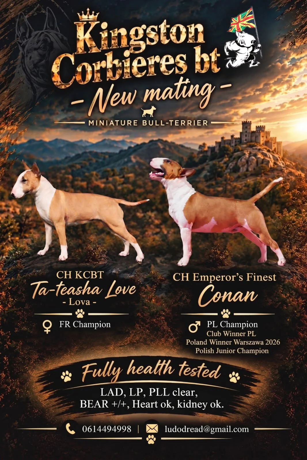 Affiche du mariage de CH Emperor's Finest Conan et CH KCBT Ta-Teasha Love -Lova-, Bull Terrier miniature